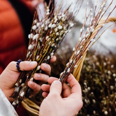 Об освящении верб в домашних условиях