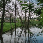 Спартакиада 13.06.22